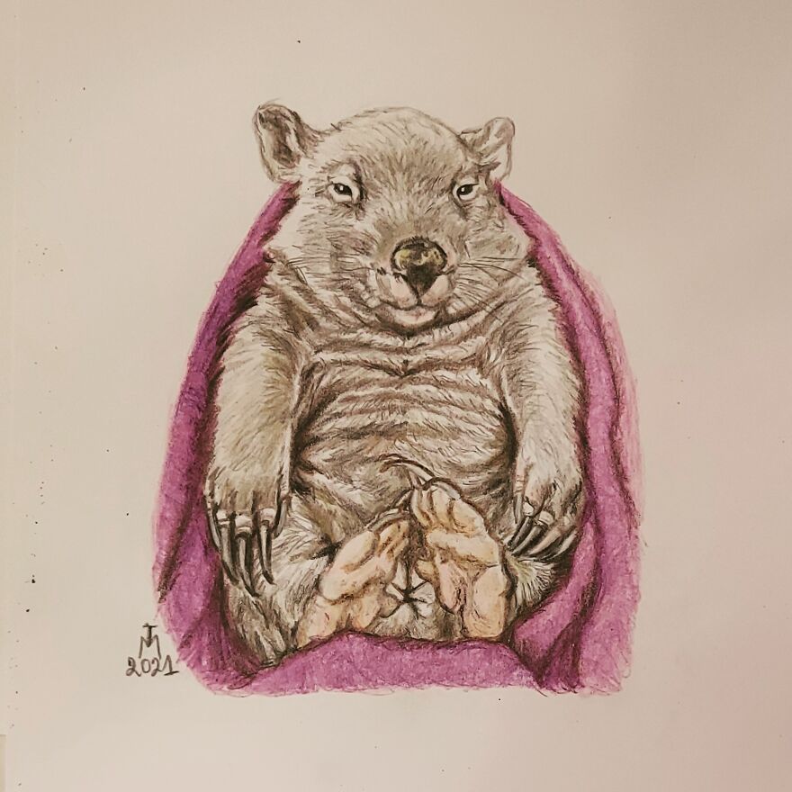Elsie The Marsupial: @crazy_wombat_lady