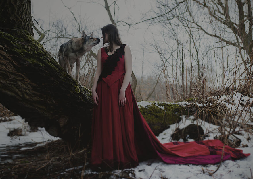 - Little Girl, Where Is Your Hood? - It's Not This Fairytale, Dear Wolf.