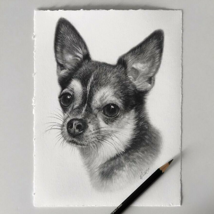 This Artist Makes Realistic Portraits Of Animals That Will Leave You Jaw-Dropping