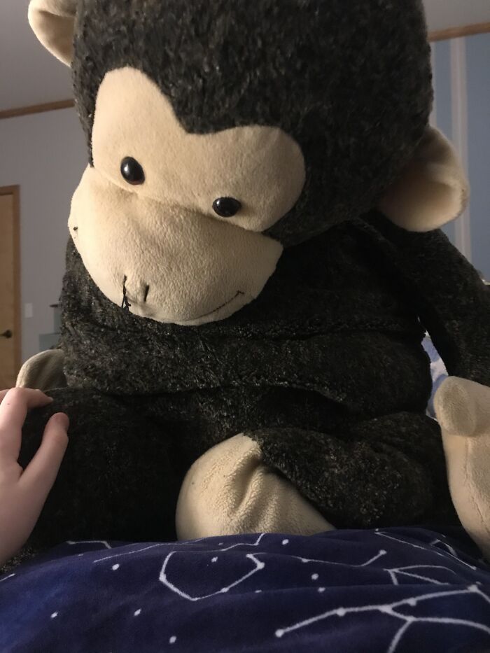 I Had Him Since I Was A Baby (His Name Is Mr Monkey Because I Was A Very Creative Child)