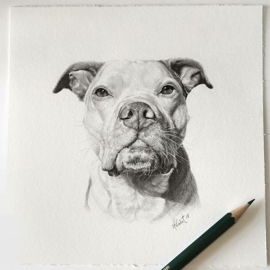 This Artist Makes Realistic Portraits Of Animals That Will Leave You Jaw-Dropping