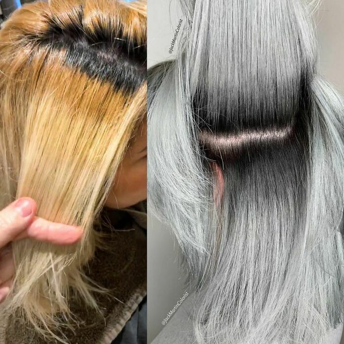 This Client Came To Me With Very Dry And Damaged Hair That Can’t Be Bleached At All, She Wants As Ashy Silver As I Can Do So I Decided To Correct Her Color With @schwarzkopfusa Igora Vibrance Demi Permanent Until Her Hair Gets Better For A Lightening Session. On The Orangy Part Right After The Roots I Used Igora Vibrance 6-12 Mixed With 6 Vol Developer, Then On The Rest Of The Hair I Used Igora Vibrance 9.5-21 With 7 Drops Of 0-11 Booster Mixed With 6 Vol Developer For About 30 Min, 5 Minutes Before I Wash The Hair I Combed The Hair Very Carefully Section By Section To Blend The Roots With The Rest Of The Hair As You See In The After Photo, Her Black Roots Never Been Touched But I Did This Toning To Blend Her Blonde Her With Her Roots. #schwarzkopfusa #igora #morevibrance @behindthechair_com #behindthechair #jackmartincolorist #platinumblonde #hairtransformation #silverhair