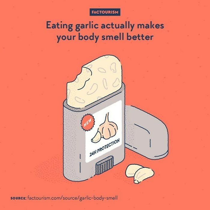 Eating Garlic Actually Makes Your Body Smell Better⁠
⁠
researchers Have Sampled The Body Odours Of Both Subjects Who Had Eaten Normally And Subjects Who Had Eaten A Lot More Garlic Than The First Ones. Their Odours Were Then Rated By A Separate Panel Of Volunteers. The Smells Of The Garlic-Eaters Were Evaluated More Pleasant, More Attractive, And Less Intense Than The Others. It’s Worth Noting That: 1. The Subjects Were All Men And The Raters Were All Women; 2. The Study Only Included Body Smell And Not Breath Smell.⁠