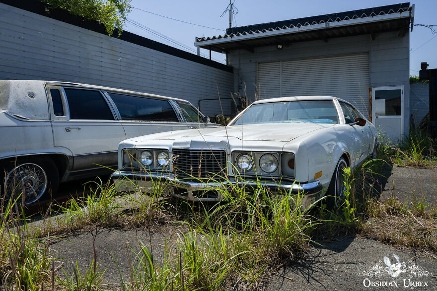 Tarmac Is Cracked And Weeds Grow Everywhere At This Abandoned Car Dealership