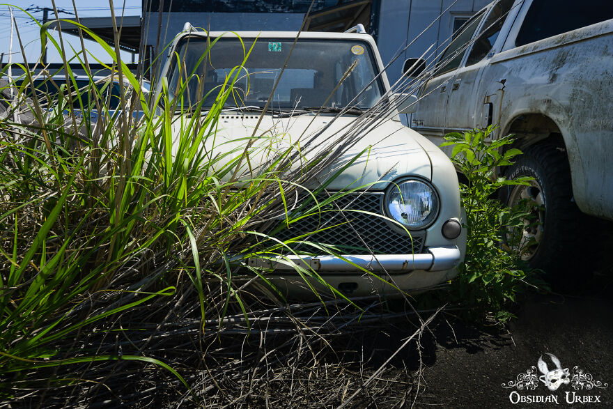A Cheeky Nissan Pao Peeks Out From Behind A Small Bush