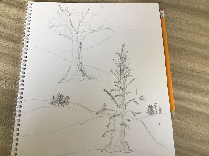 Two Trees, Done On Paper