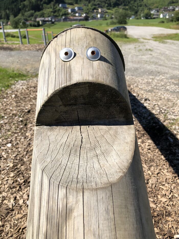 Met This Guy On The Playground.
