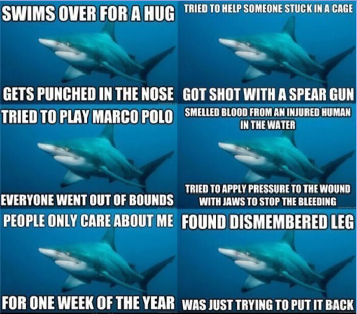 Poor Sharks