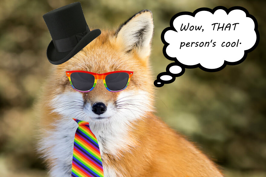 Confident Queer Fox Thinks You're Cool