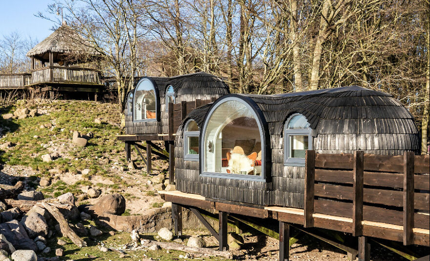 Glamping In The Middle Of An African Savannah In Denmark Glamping In The Middle Of An African Savannah In Denmark