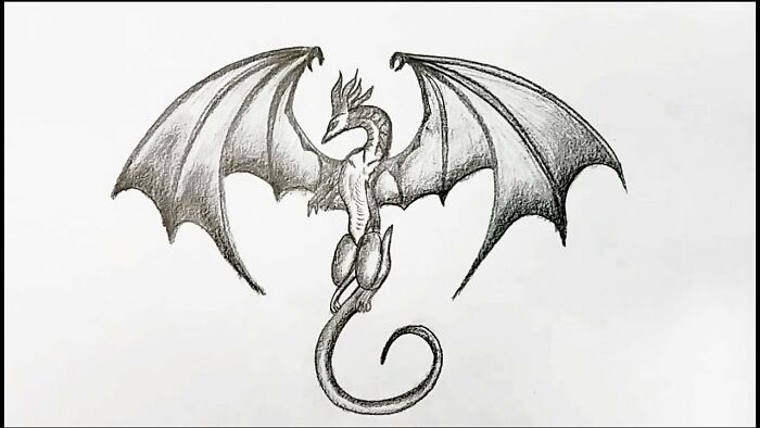 Flying Dragon-Name-Skylar