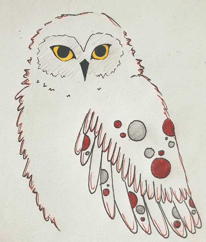 A Fooffy Owl