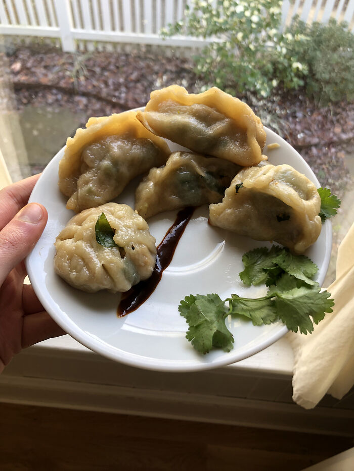 My First Attempt At Homemade (From Scratch) Potstickers, Filled With Cilantro, Cabbage, And Hoisin Glazed Pork!