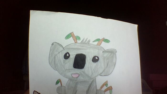 I Drew This Cute Koala