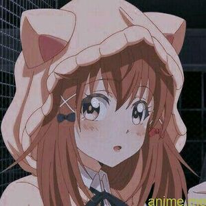 alessandraciamillo avatar