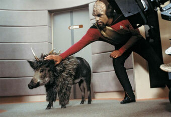 Klingon-Targ-605864a7ba40f.jpg