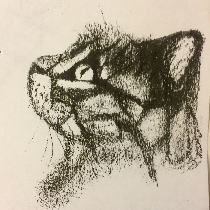 Abstract Sketch Of A Kitty I Drew