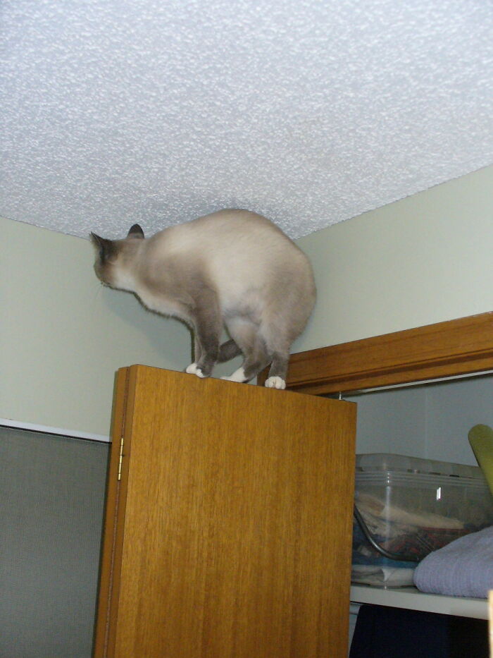 Help! How Do I Get Down??
