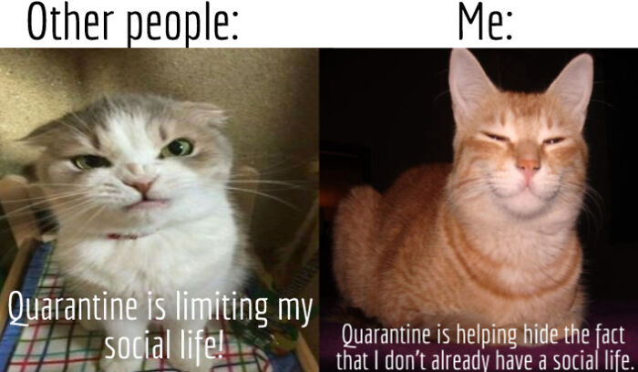 Quarantine Meme That I Made Up: (Pictures From The Internet)