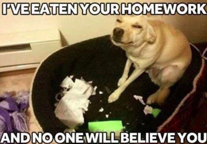 I've Eaten You're Homework