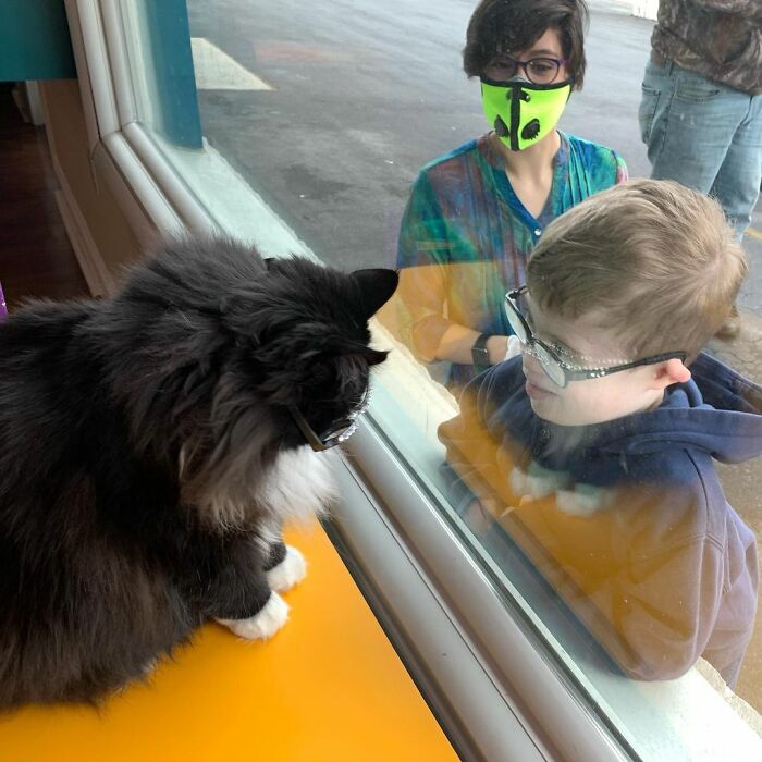 Truffles The Cat Helps Kids Feel Comfortable With Fearing Glasses When They Go To Optometrist