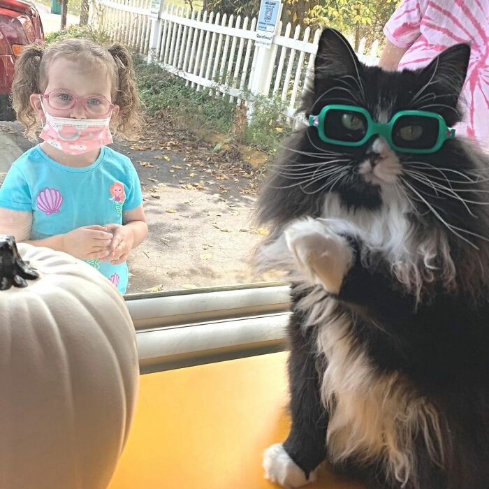 Truffles The Cat Helps Kids Feel Comfortable With Fearing Glasses When They Go To Optometrist