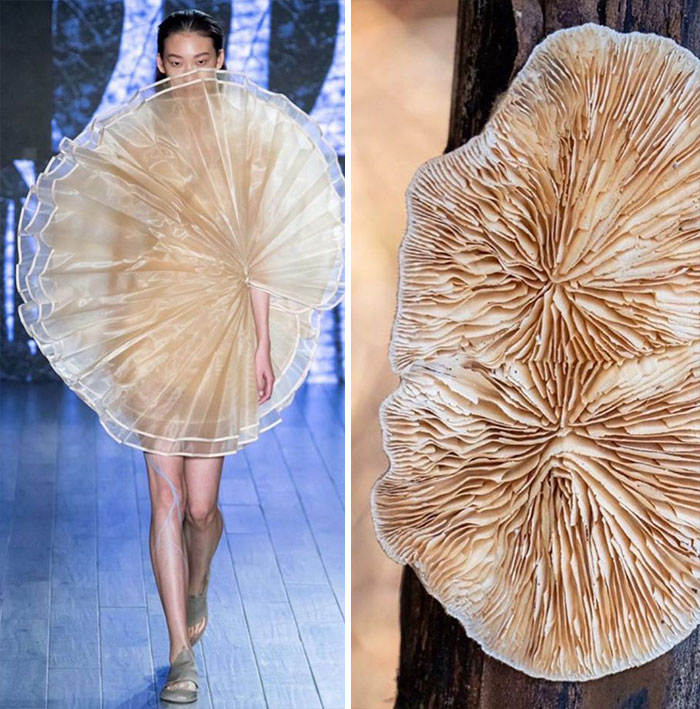 Fashion Often Draws Inspiration From Nature And This Instagram Account Proves It (30 Pics)