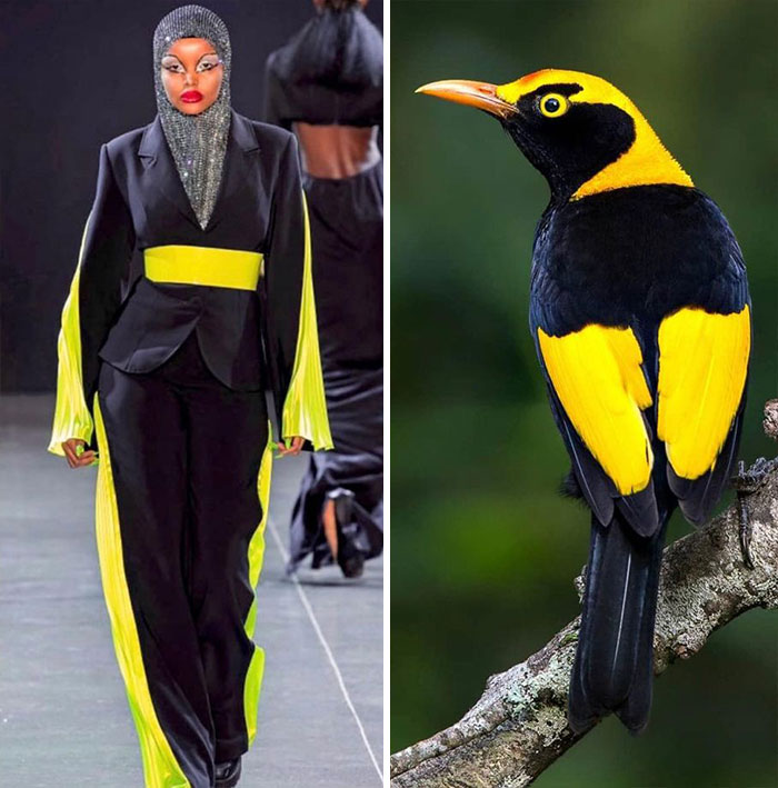 Fashion Often Draws Inspiration From Nature And This Instagram Account Proves It (30 Pics)