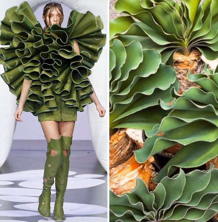 Fashion And Nature