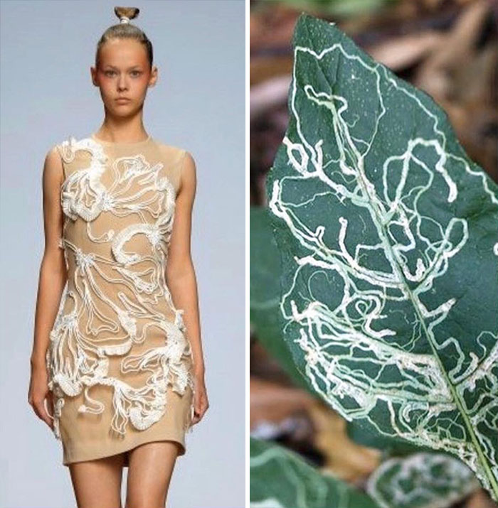 Fashion And Nature