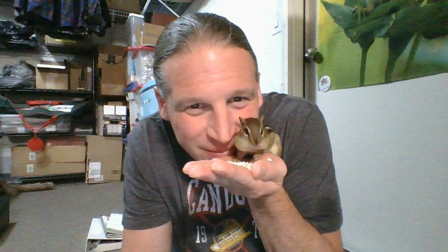 Wild Chipmunks Come Into My House For Snacks & Snuggles! Wild Chipmunks Come Into My House For Snacks & Snuggles!