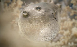 This Powerful Animated Short Shows Plastic Waste Transforming Into Ocean Life