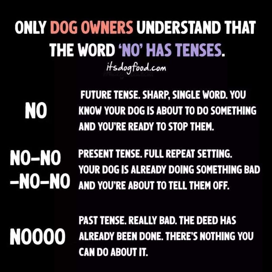 Only Dog Owners Know...