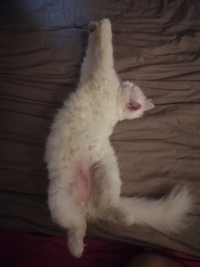 Yoga-Sleeping
