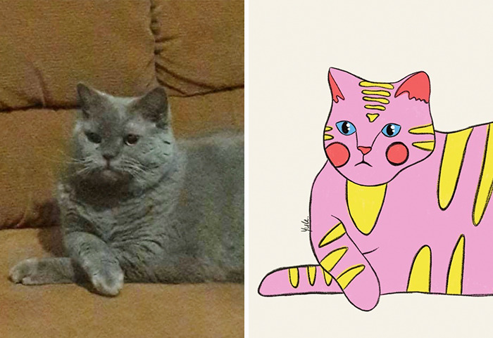 My Friend Took A Wholesome Pic Of Her Cat, And I Decided To Draw Her