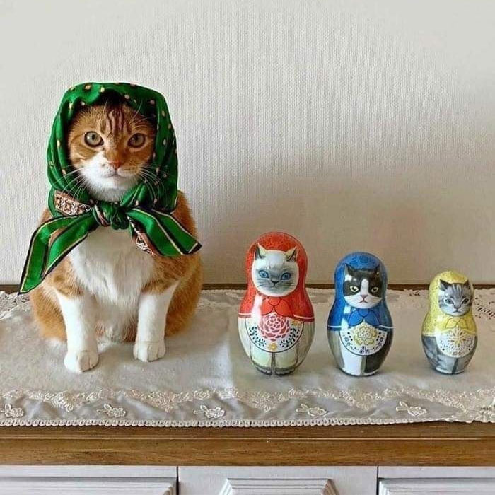This Online Group Is Dedicated To Adorable Cat Babushkas (30 Pics)
