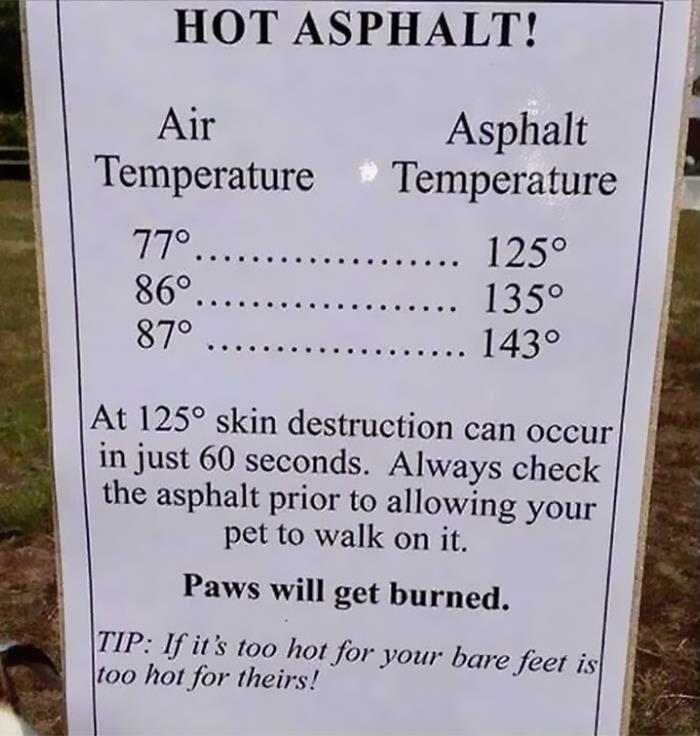 Remember This When Walking Your Pets