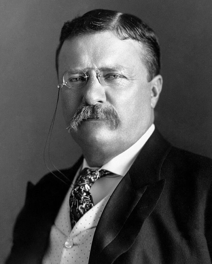 Til That In The Last Year Of His Presidency, Teddy Roosevelt Rode A Horse 100 Miles In One Day In Order To Prove That His New Military Physical Standards (100 Miles In Three Days) Were Not Unreasonable