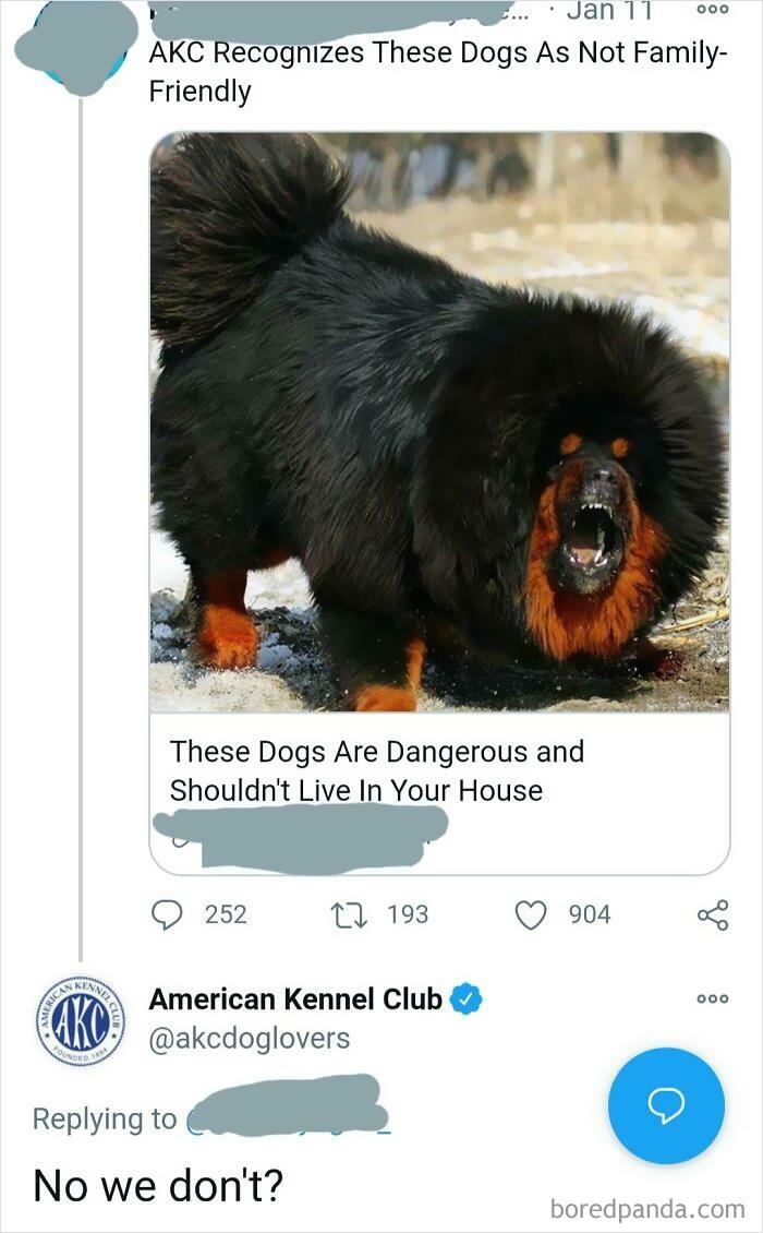 Akc Calls Out Clickbait Twitter Ad
