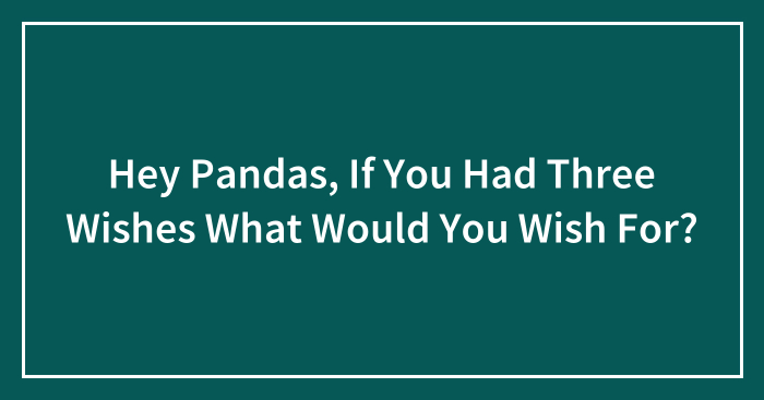 Hey Pandas, If You Had Three Wishes What Would You Wish For? (Closed)