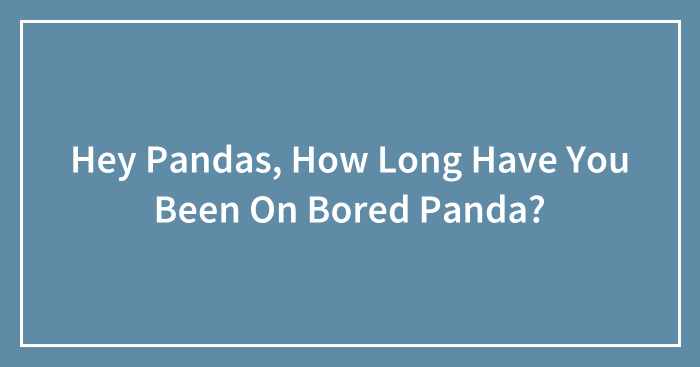 Hey Pandas, How Long Have You Been On Bored Panda? (Closed)