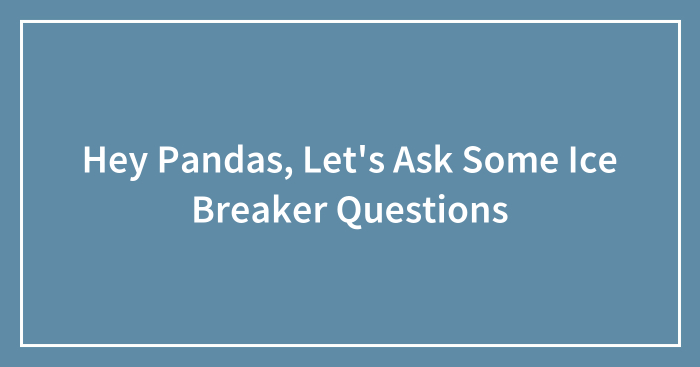 Hey Pandas, Let’s Ask Some Ice Breaker Questions (Closed)