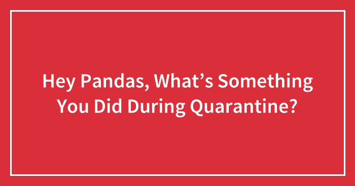 Hey Pandas, What’s Something You Did During Quarantine? (Closed)