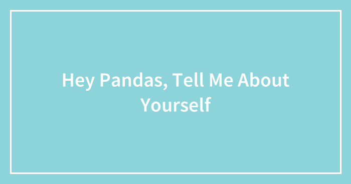 Hey Pandas, Tell Me About Yourself (Closed)