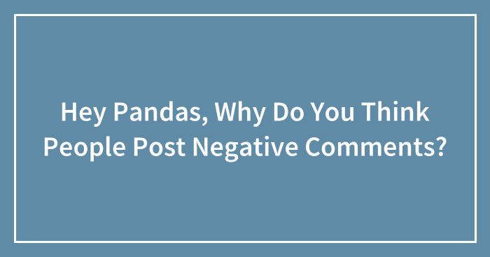 Hey Pandas, Why Do You Think People Post Negative Comments? (Closed)