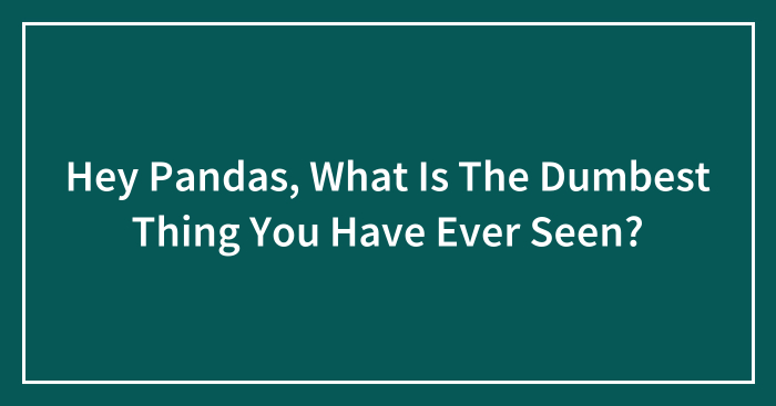 Hey Pandas, What Is The Dumbest Thing You Have Ever Seen? (Closed)