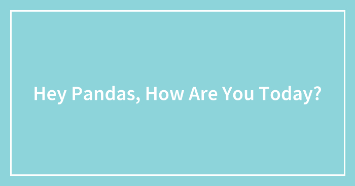 Hey Pandas, How Are You Today? (Closed)