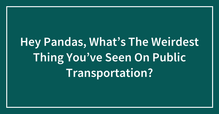 Hey Pandas, What’s The Weirdest Thing You’ve Seen On Public Transportation? (Closed)