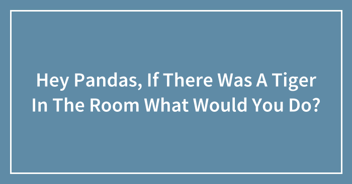 Hey Pandas, If There Was A Tiger In The Room What Would You Do? (Closed)