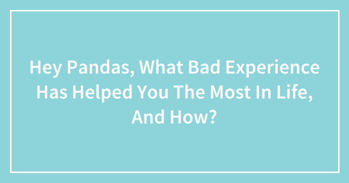 Hey Pandas, What Bad Experience Has Helped You The Most In Life, And How? (Closed)